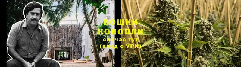 Бошки Шишки White Widow  купить  сайты  МЕГА онион  Осташков 